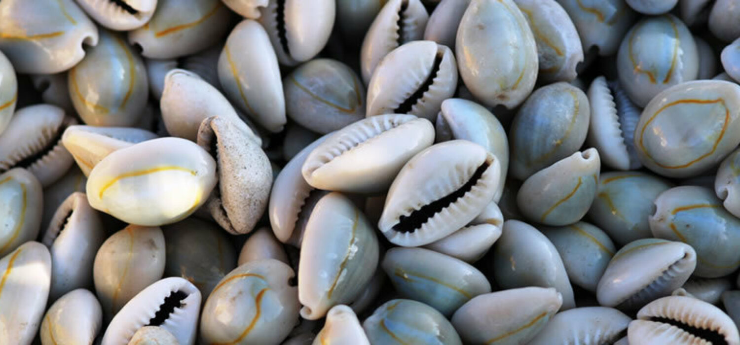 Cowrie shell divination