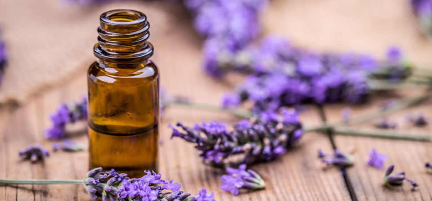 Lavender uses health healing