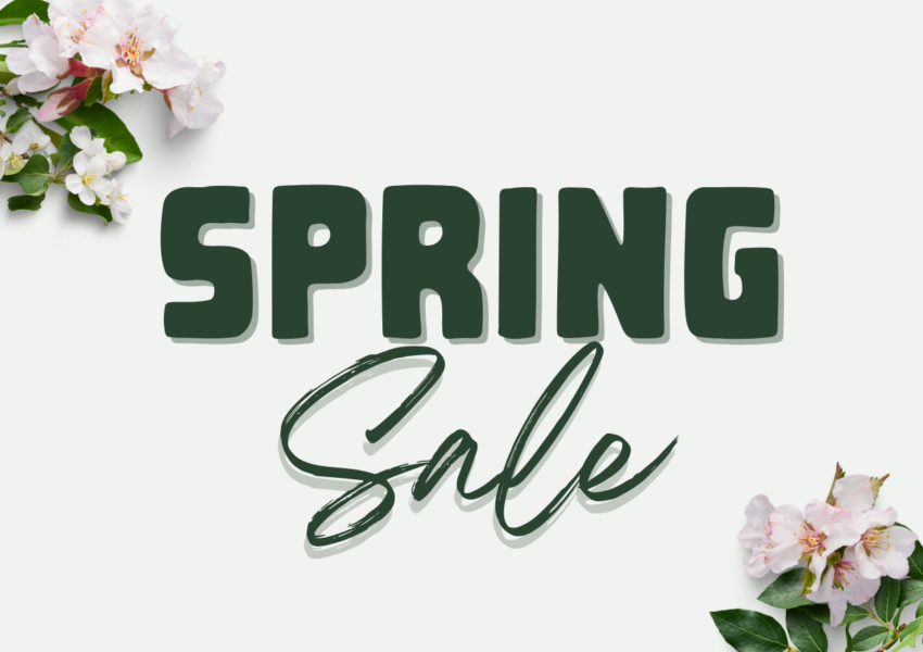 Spring Sale Website 1