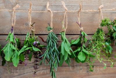 Best herbs protection spells rituals