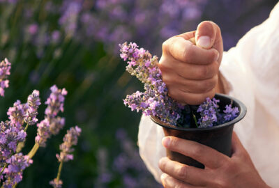 Lavender spiritual benefits