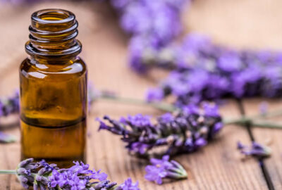 Lavender uses health healing