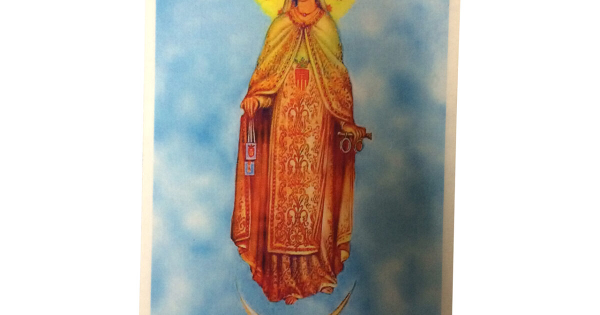 Virgin Laminated Prayer Card