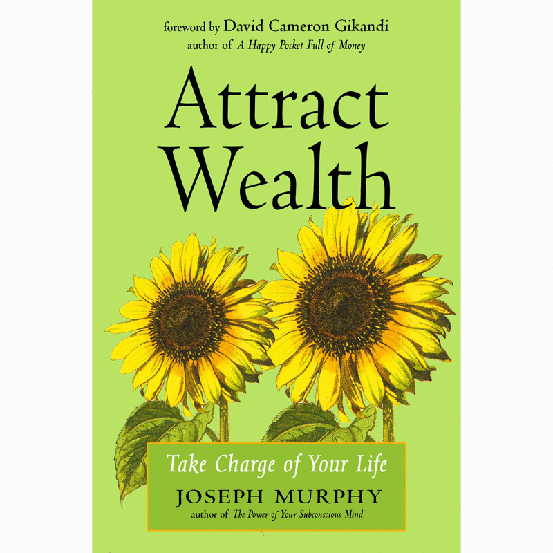 Attract Wealth 33817
