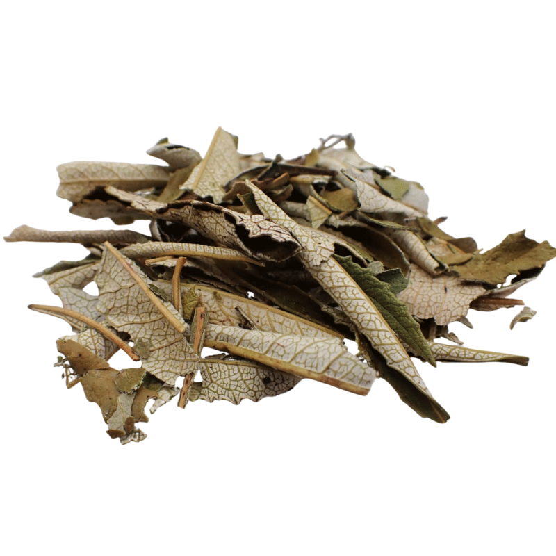 Yerba Santa