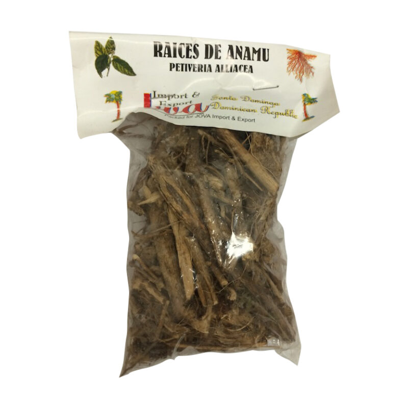 Anamu root magical herb 89906