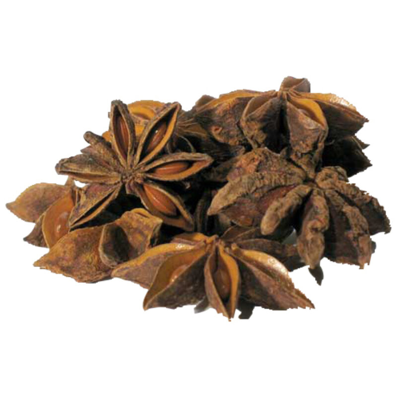 Anise star magical herb 47467