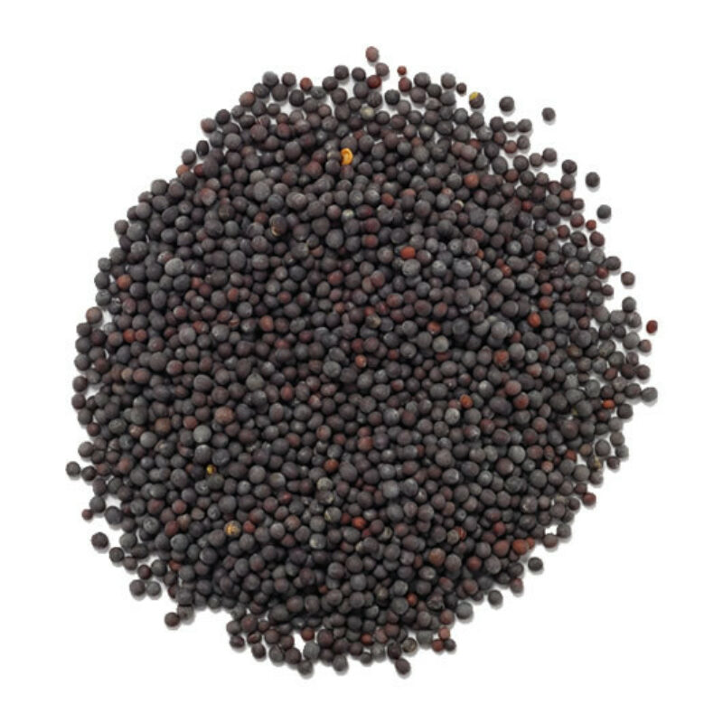 Black mustard seeds magical herb 98996
