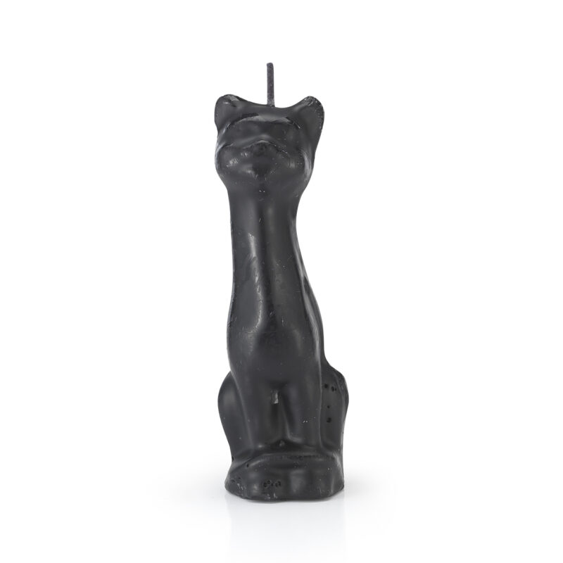 Cat black 68523