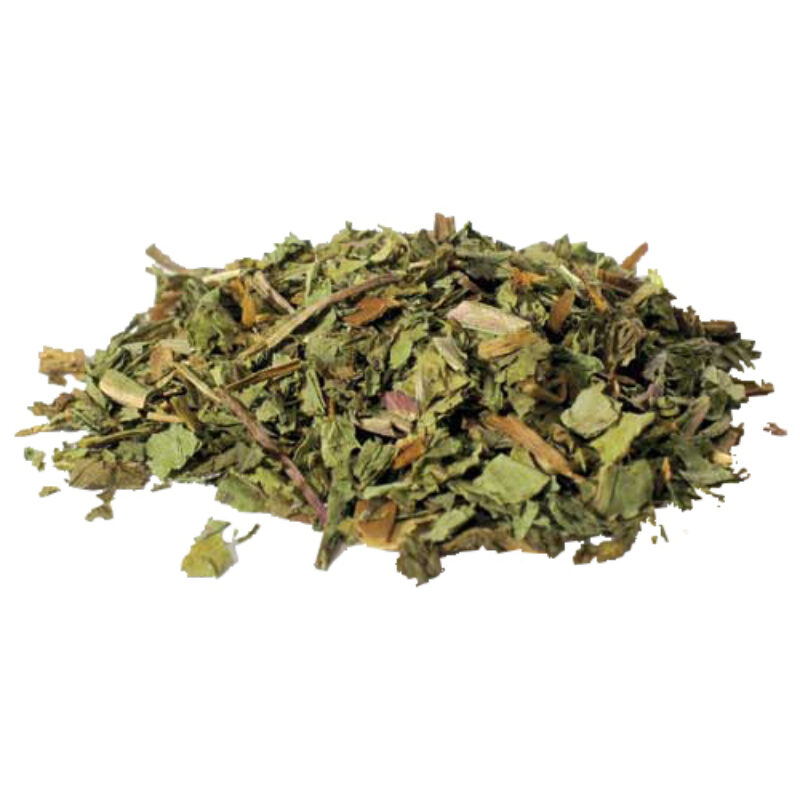 Dandelion leaves magical herb 49650