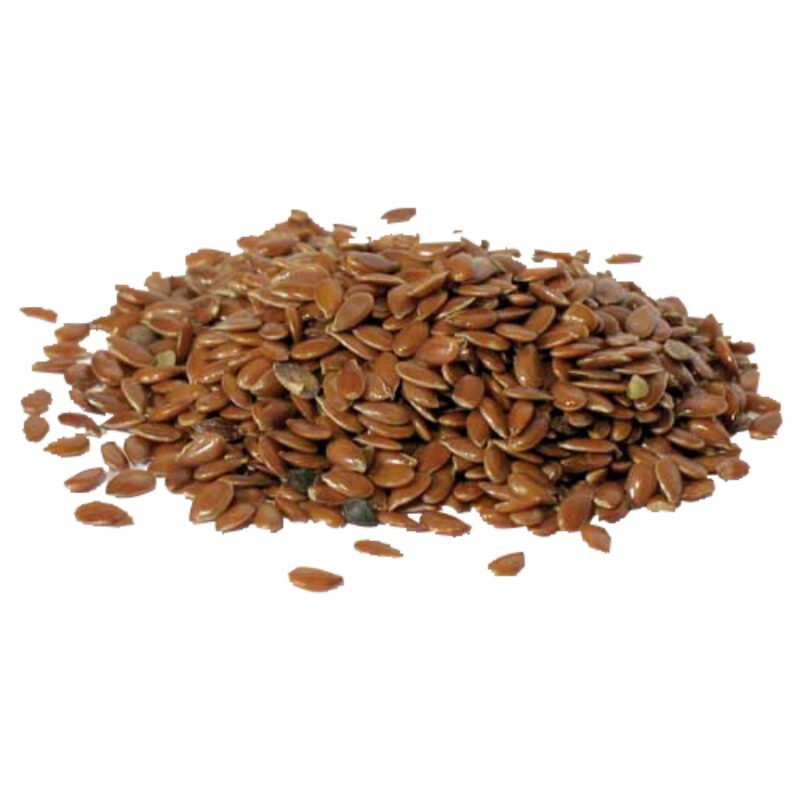 Flax seed magical herb 53444