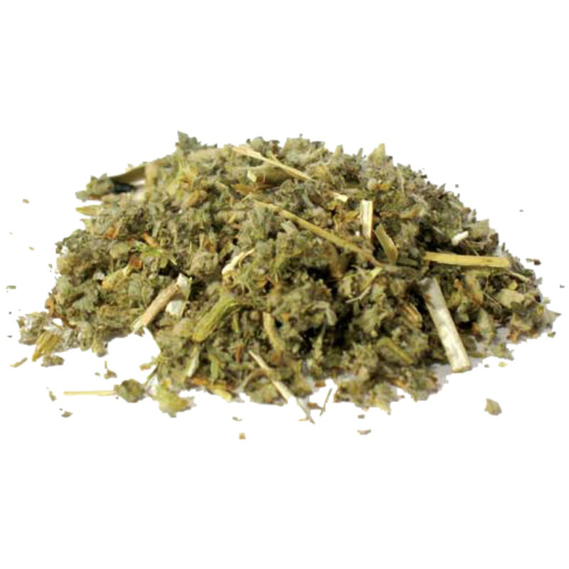 Horehound magical herb 66876