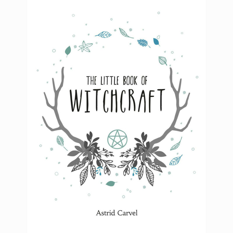 Little book witchcraft 96848