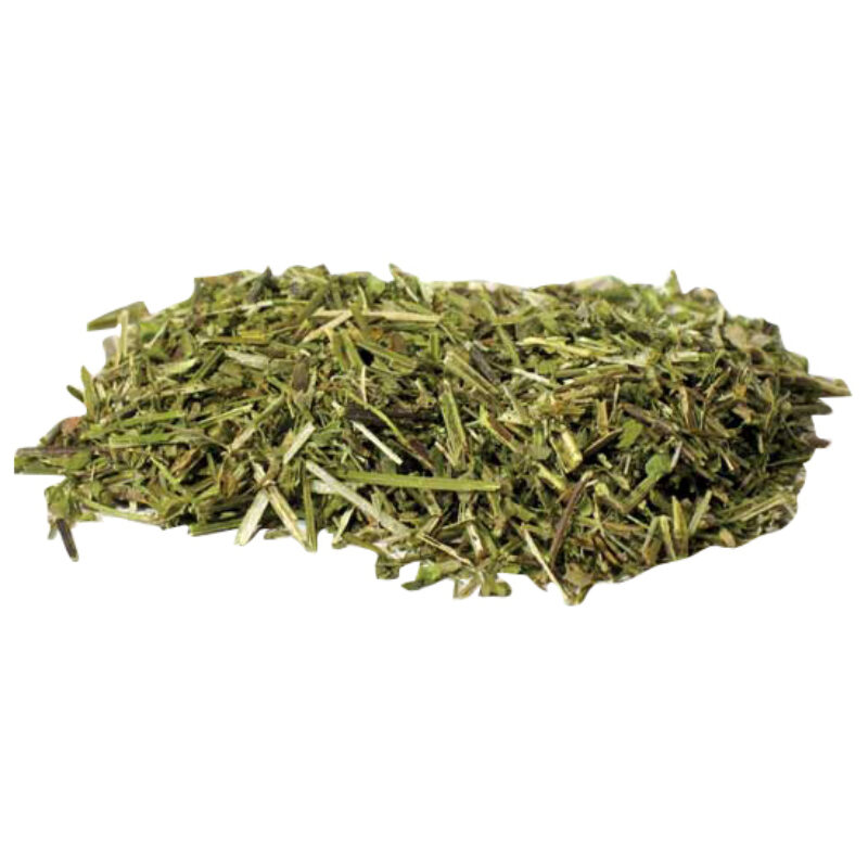 Scullcap magical herb 04088