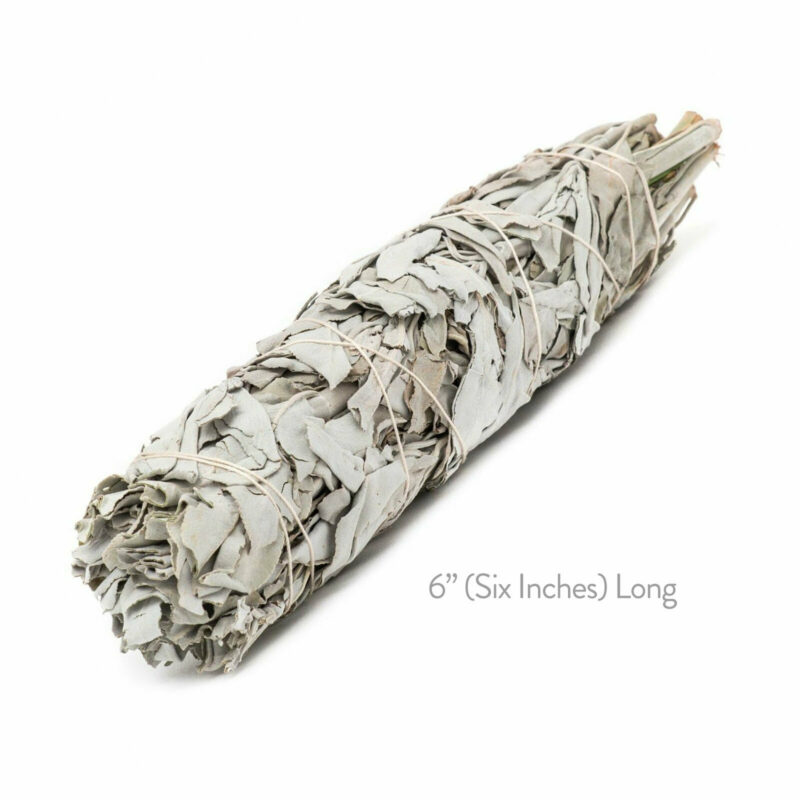 White sage smudge stick 6 inches