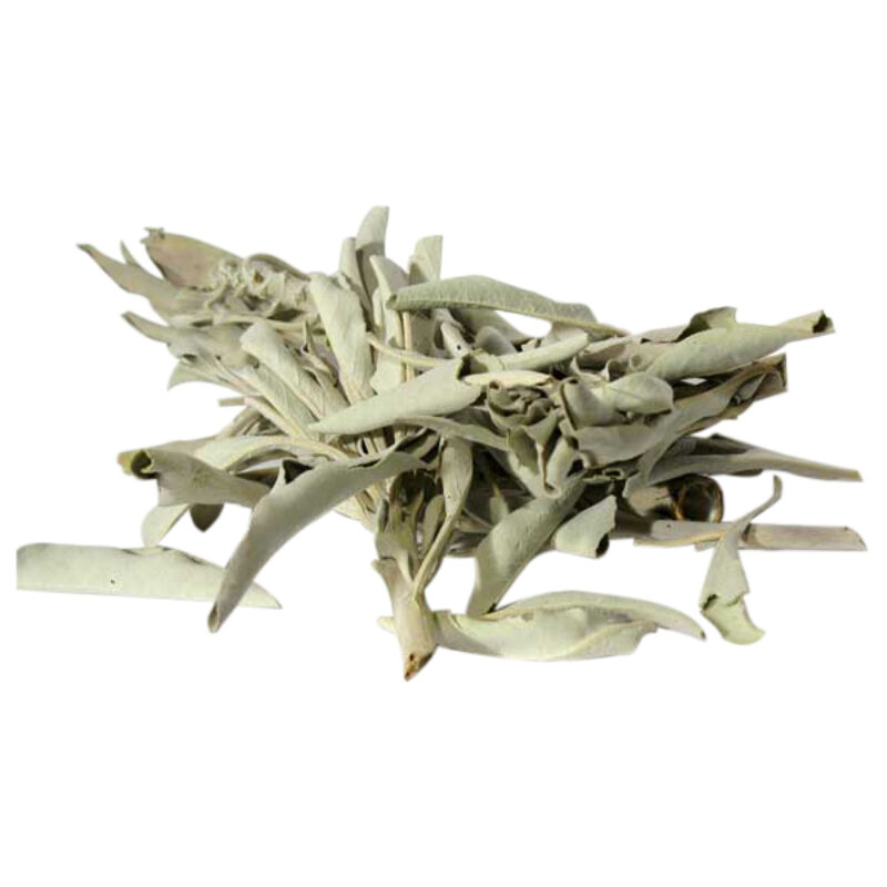 White sage magical herb 21256