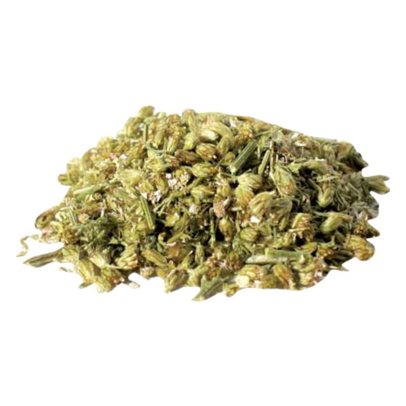 Yarrow magical herb 95505