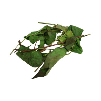 Algodon fresh herb 53044