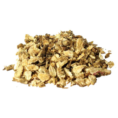 Angelica root magical herb 27586
