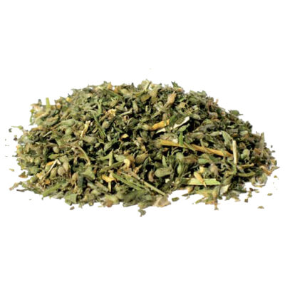 Catnip magical herb 66012