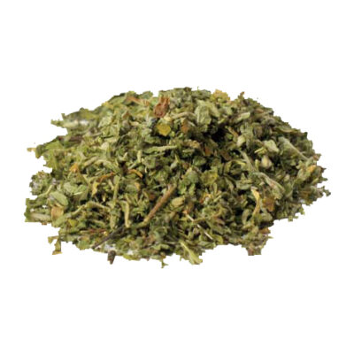 Damiana magical herb 82668
