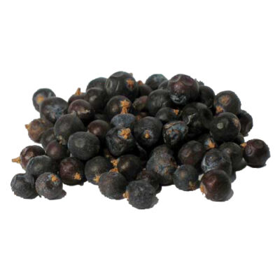 Juniper berry magical herb 25817