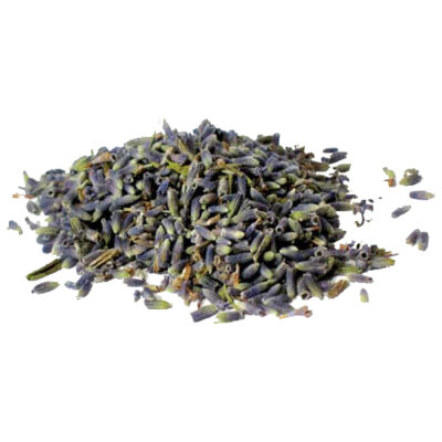 Lavender magical herb 53564