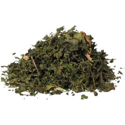 Nettle magical herb 11808