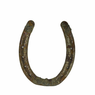 Used horseshoe