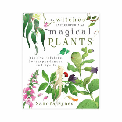 Witches encyclopedia magical plants